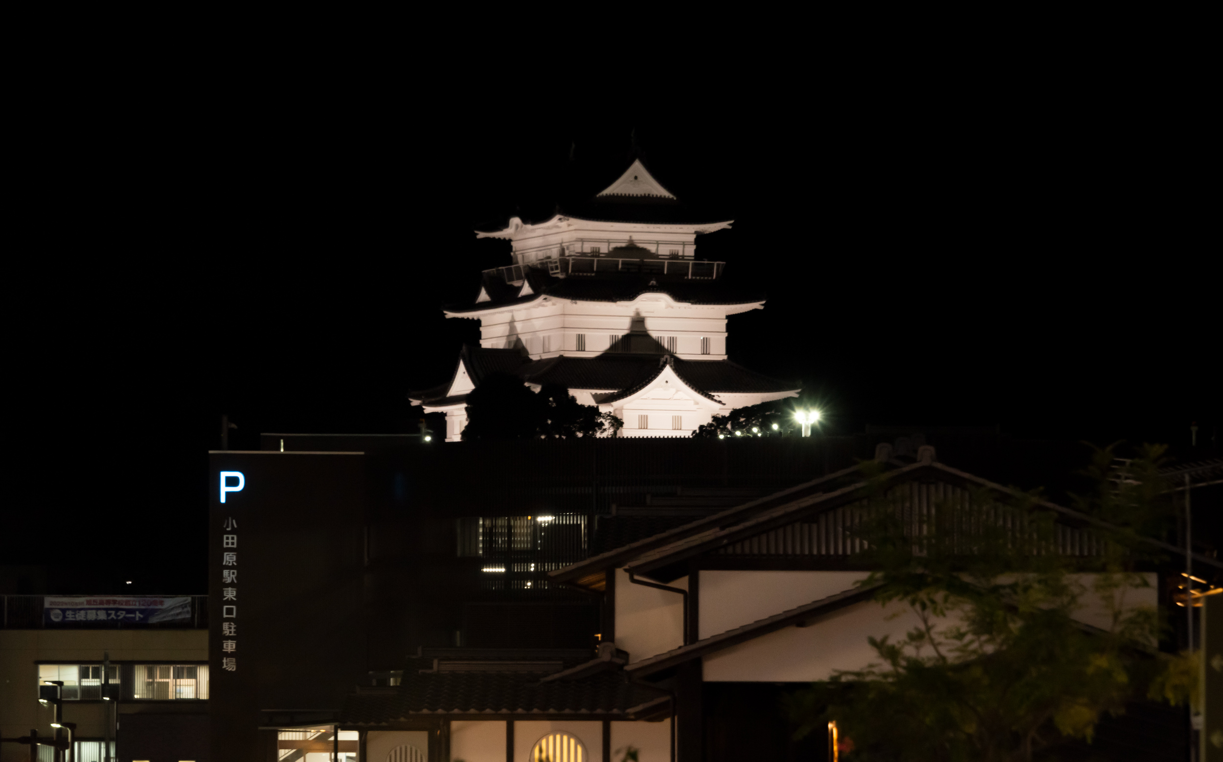 小田原城のライトアップ
