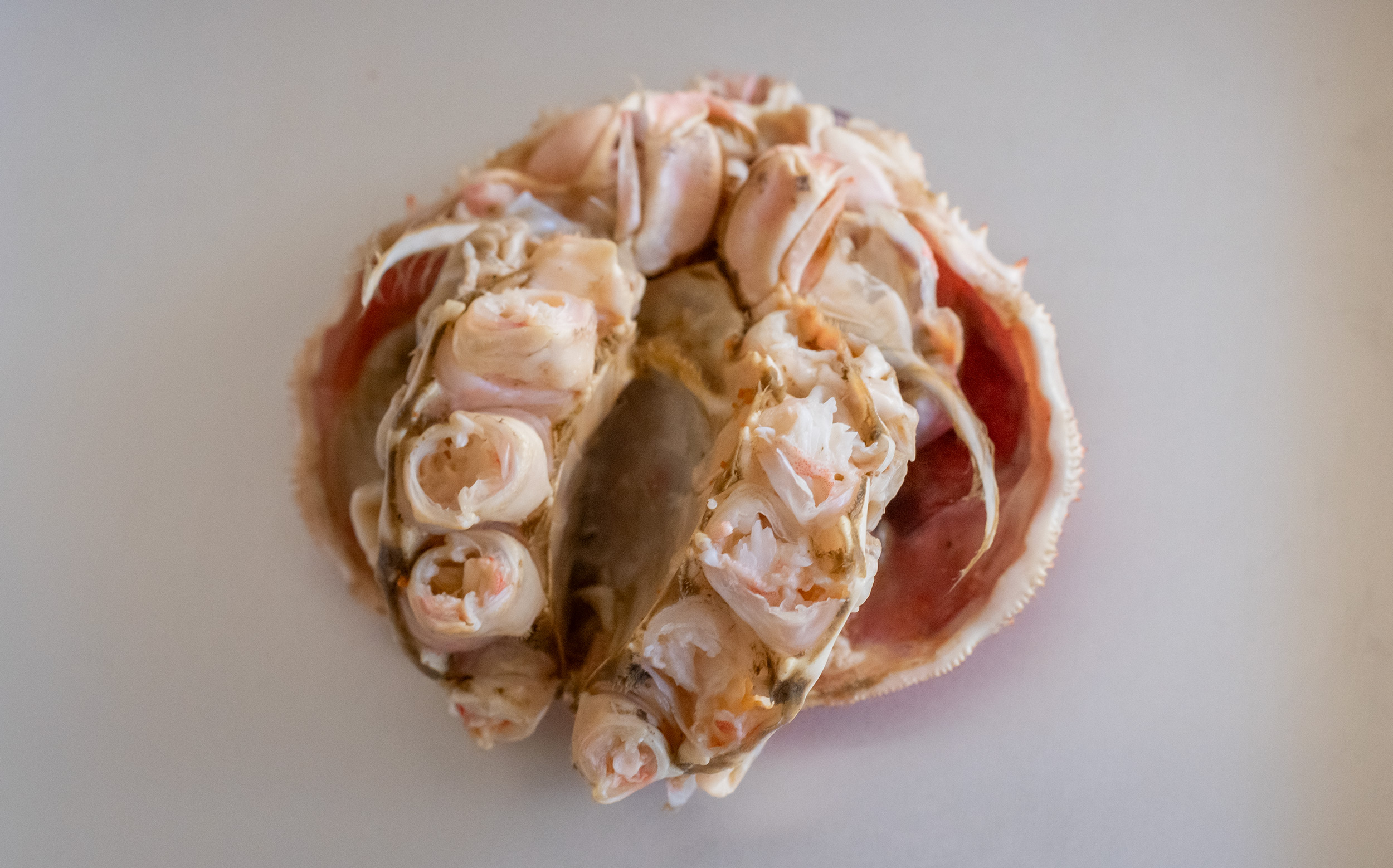 おでんの蟹面の調理方法：内側をふたつに割る