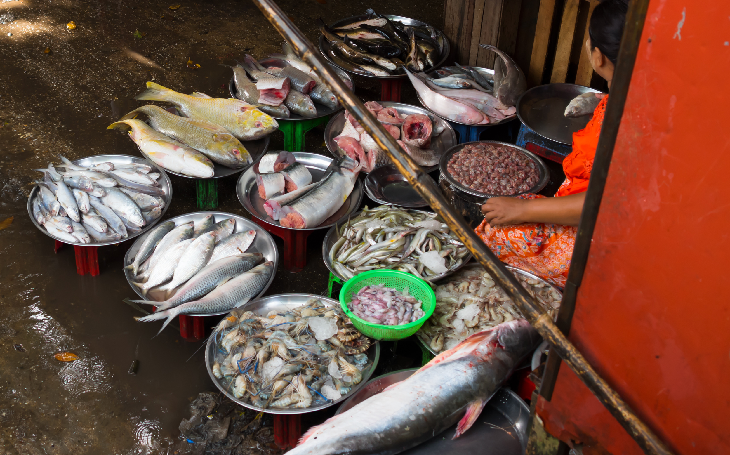 ミャンマー ヤンゴン：街市場の魚