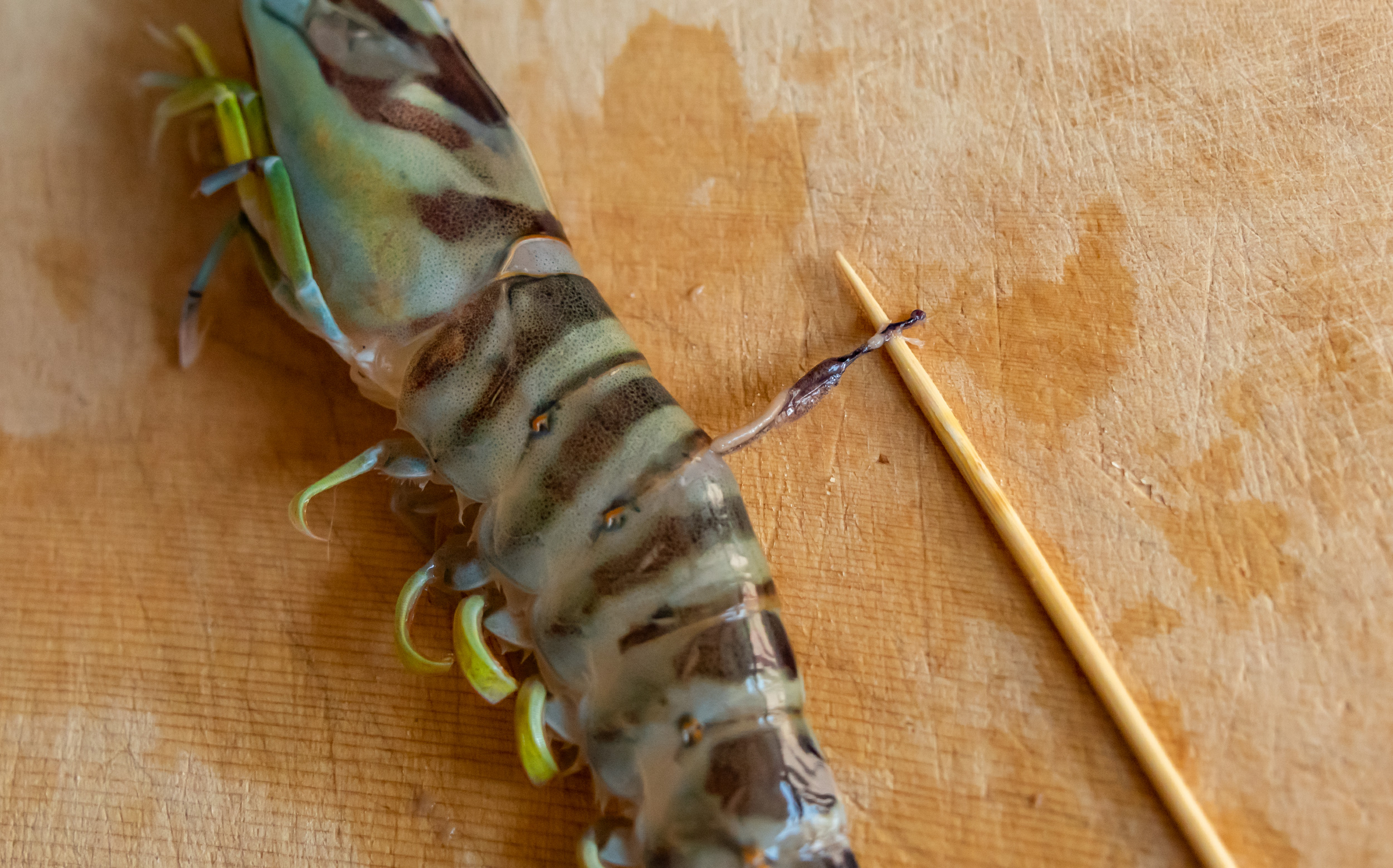 おでんの海老（エビ）の調理法：竹串で背ワタを取る