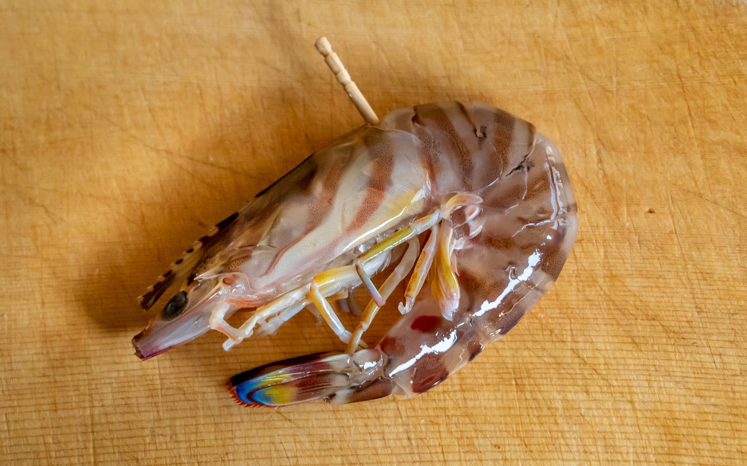 おでんの海老（エビ）の調理法：頭胸甲と第1腹節の間から第5・6腹節の間まで爪楊枝を刺す