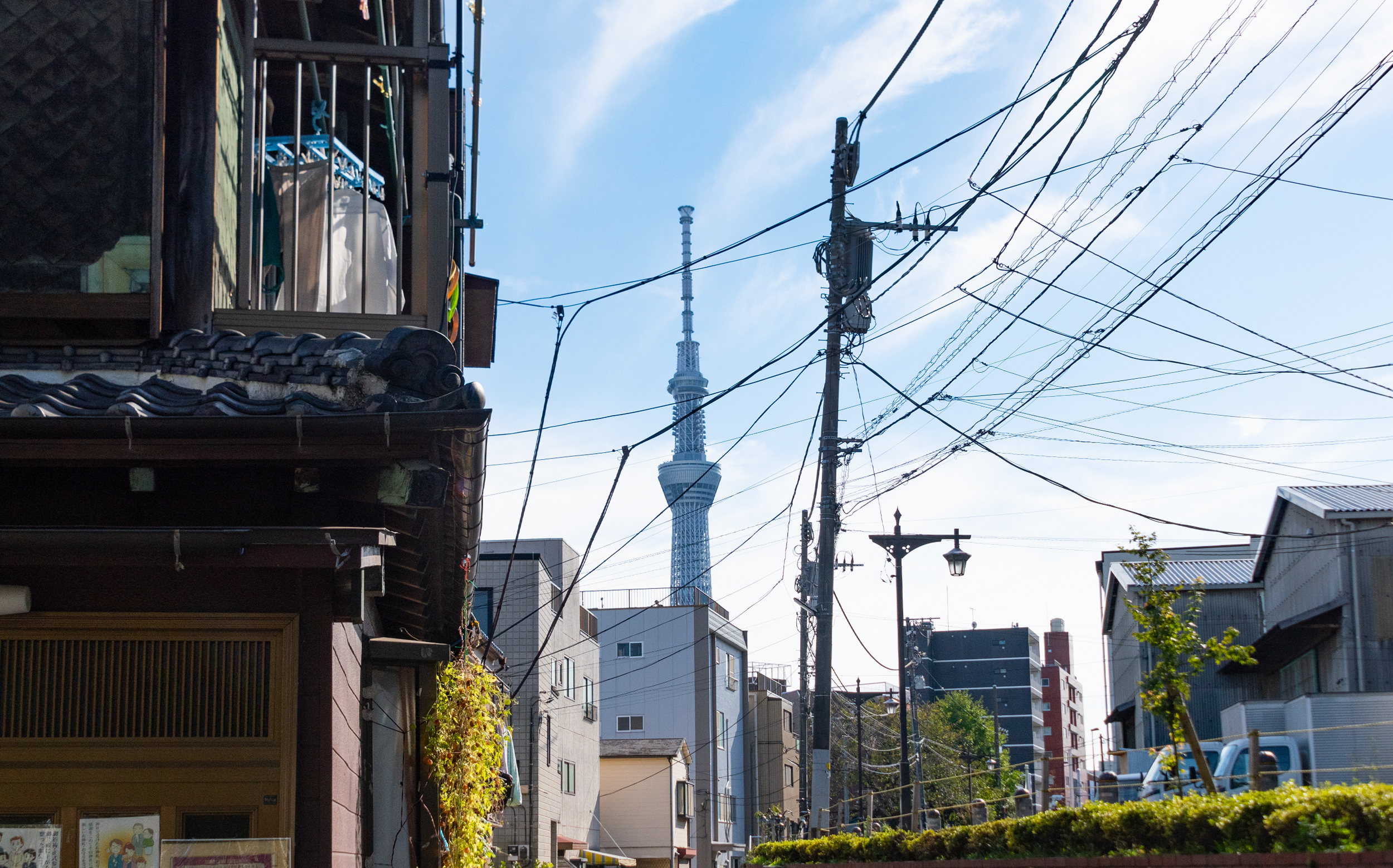 東京都墨田区東向島3丁目：白髭神社付近からの東京スカイツリー