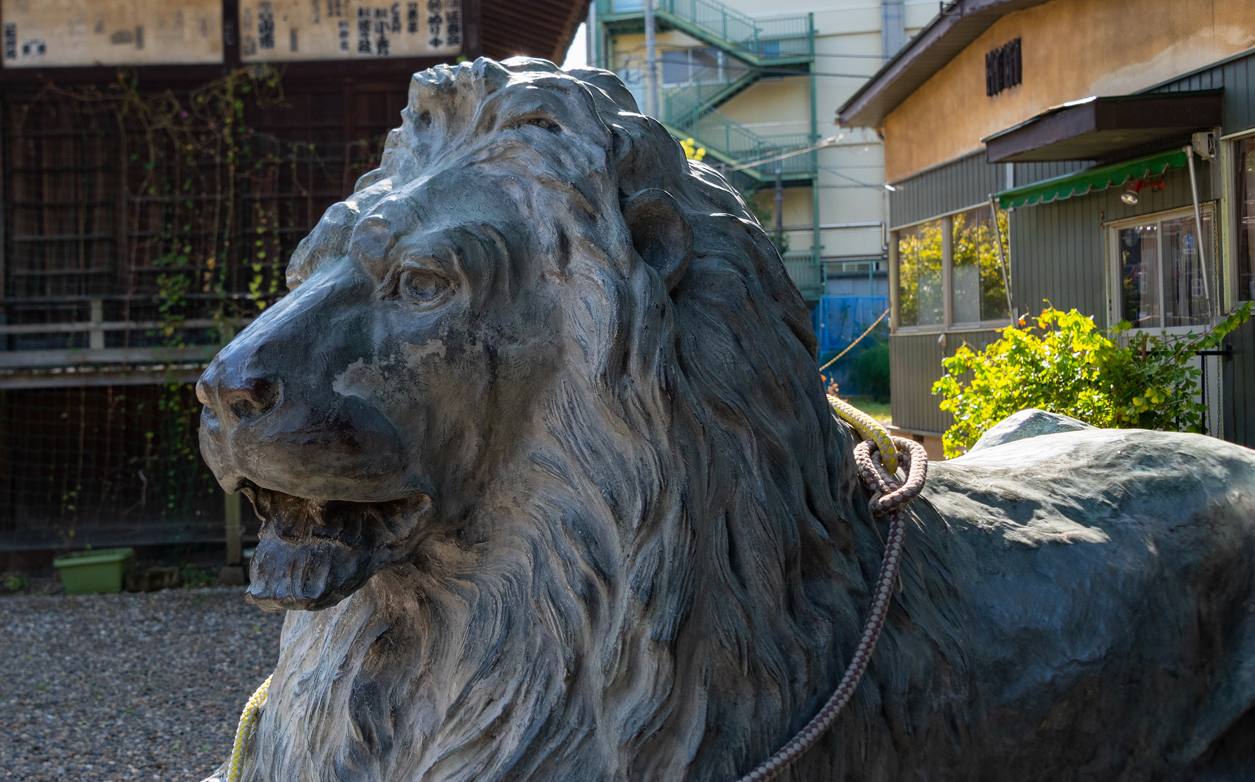 東京都墨田区向島2丁目：三囲神社（三圍神社）のライオン像